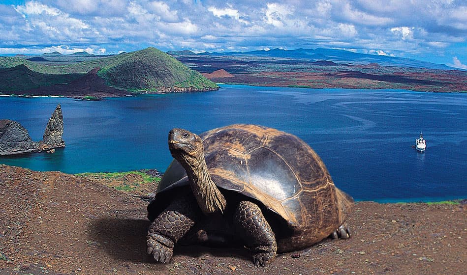 Galápagos - Vida a bordo en el Aqua