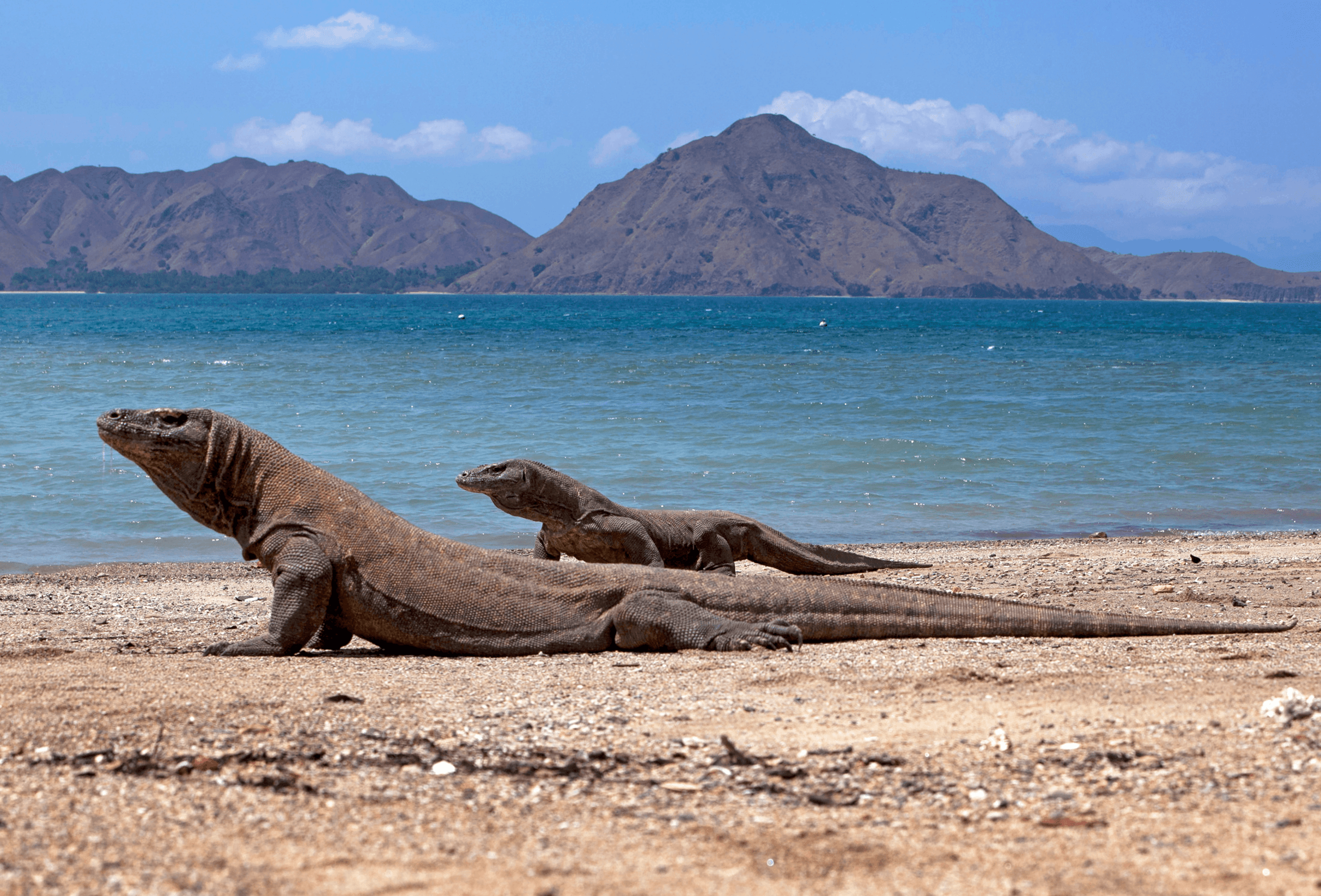 Impresionante Komodo - Vida a bordo