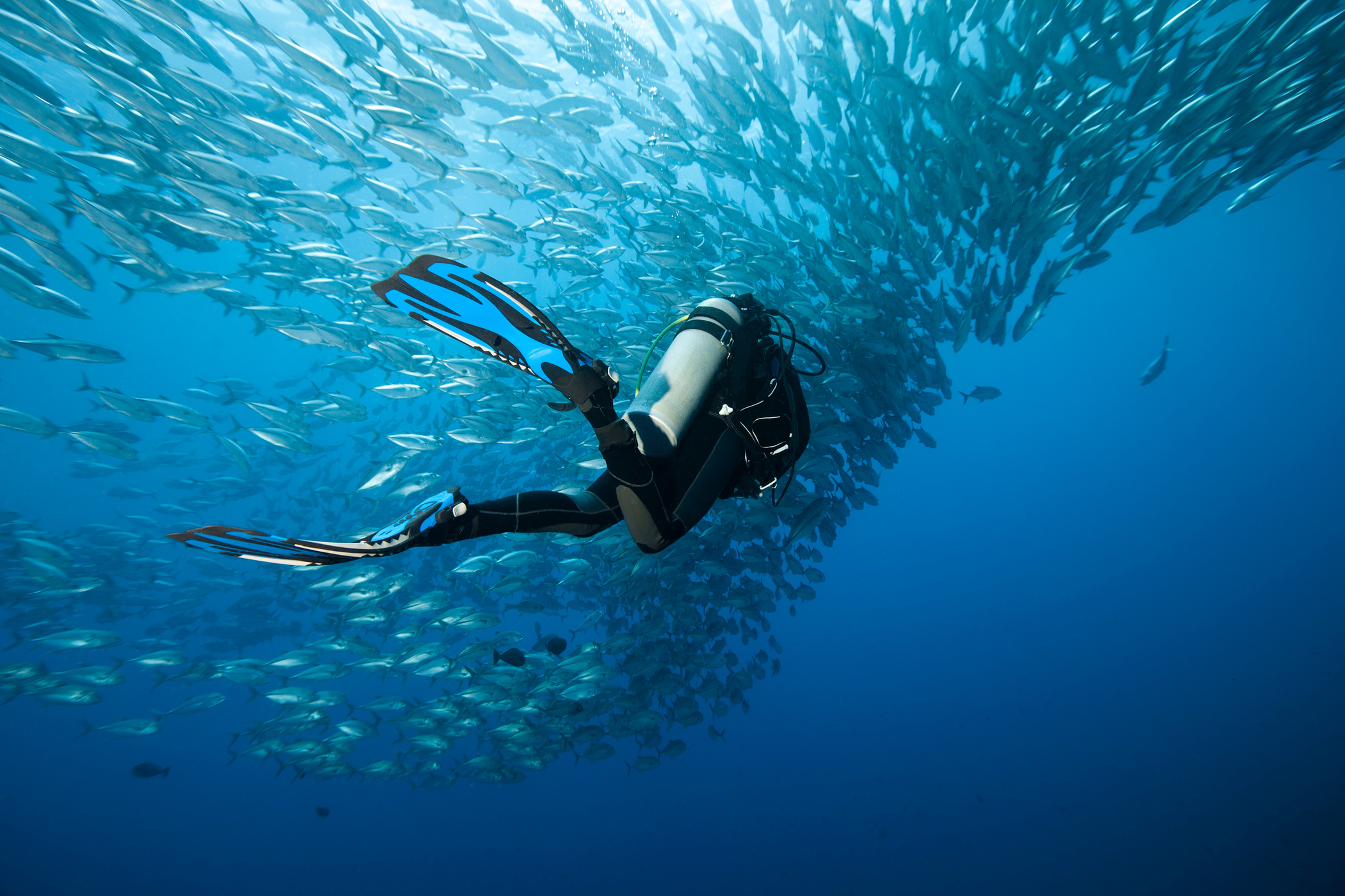 Buceo y Viajes - foto grupo