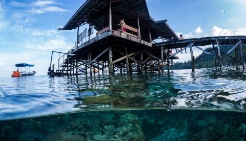 Raja Ampat Biodiversity