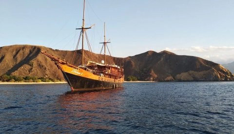 Komodo espectacular