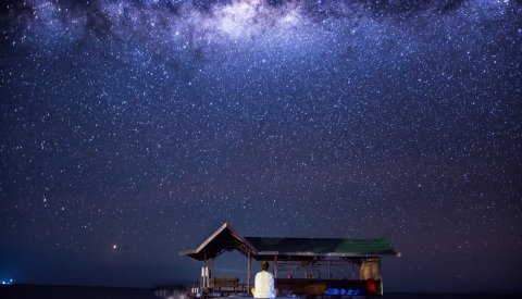 Raja Ampat Biodiversity