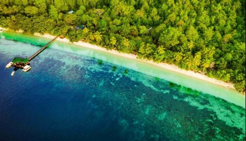 Raja Ampat Biodiversity