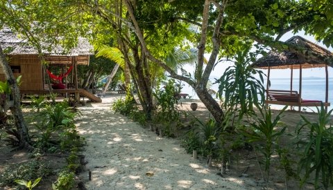 Raja Ampat Biodiversity