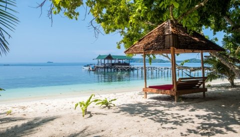 Raja Ampat Biodiversity