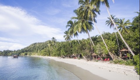Raja Ampat Biodiversity
