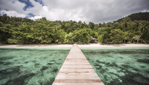 Raja Ampat Biodiversity