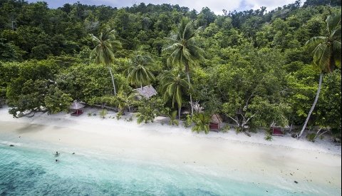 Raja Ampat Biodiversity