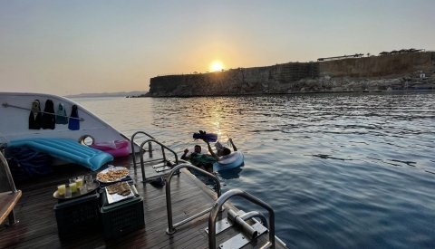 Nadar con delfines en el Mar Rojo