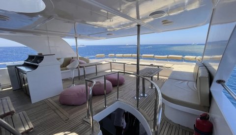 Nadar con delfines en el Mar Rojo