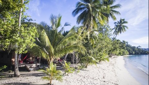 Raja Ampat Biodiversity
