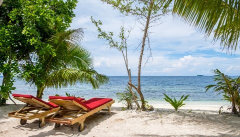 Raja Ampat Biodiversity