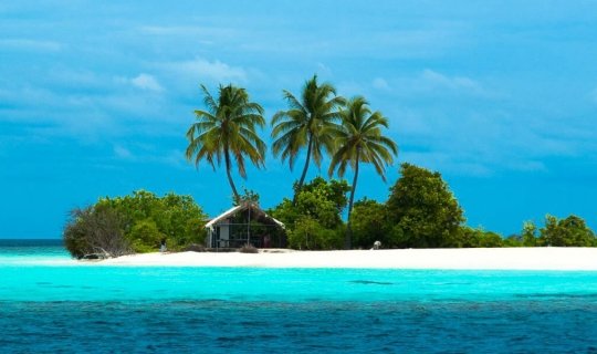 Maldivas SEA ROSE II