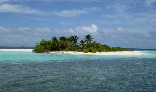 Maldivas: Crucero + Isla local