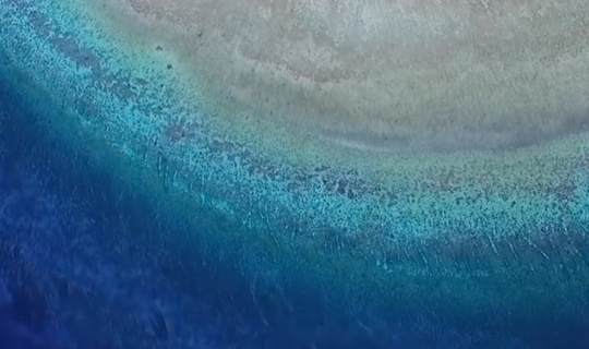 Tubbataha - Filipinas