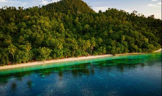 Raja Ampat Biodiversity