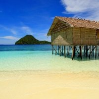 Raja Ampat Mermaid